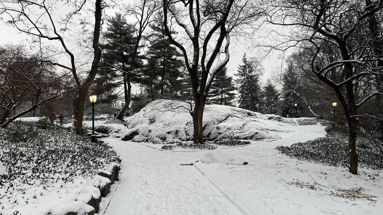 More than an inch of snow fell in Central Park late Monday into Tuesday, breaking a 701-day streak without an inch or more of snow