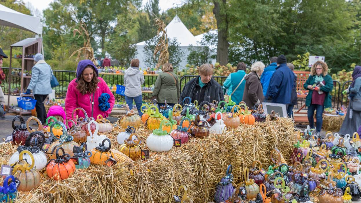 Morton Arboretum Glass Pumpkin Patch