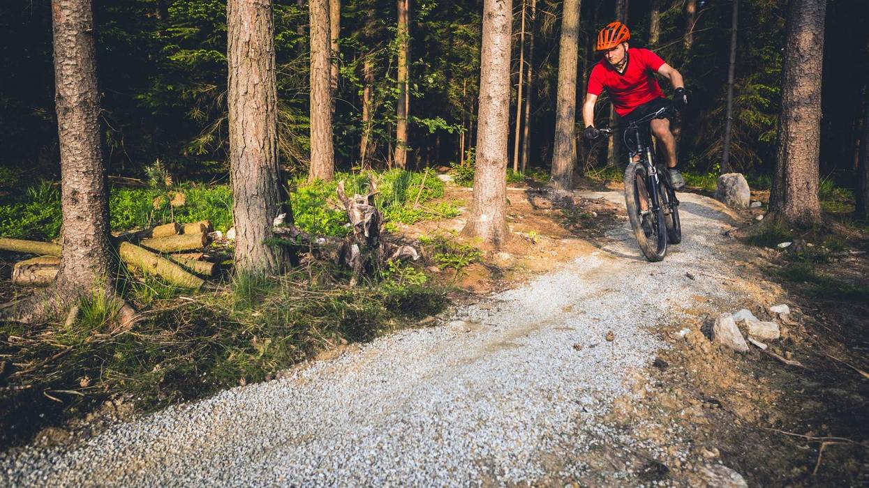 Mountain biker, riding