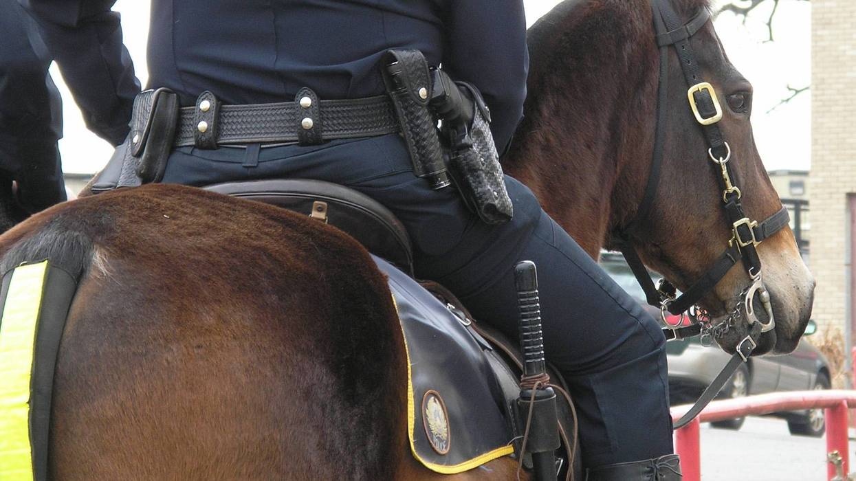Mounted Police and his horse