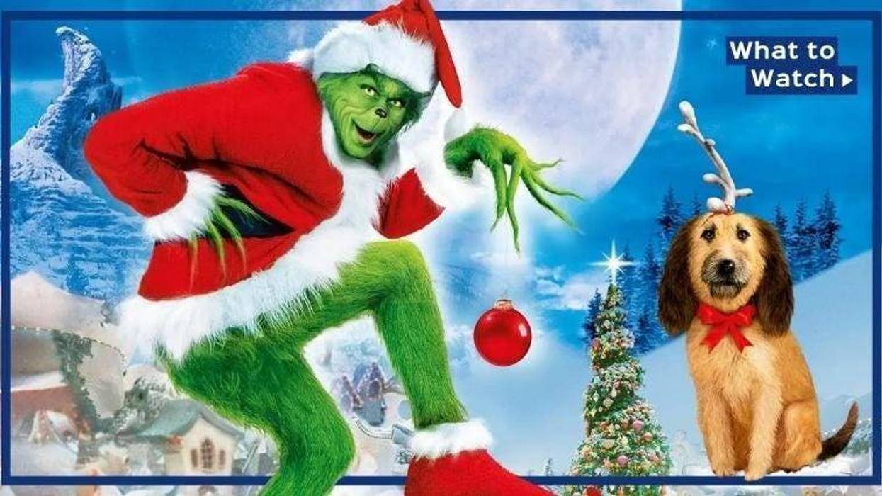 Movie poster for Jim Carrey in How the Grinch Stole Christmas
