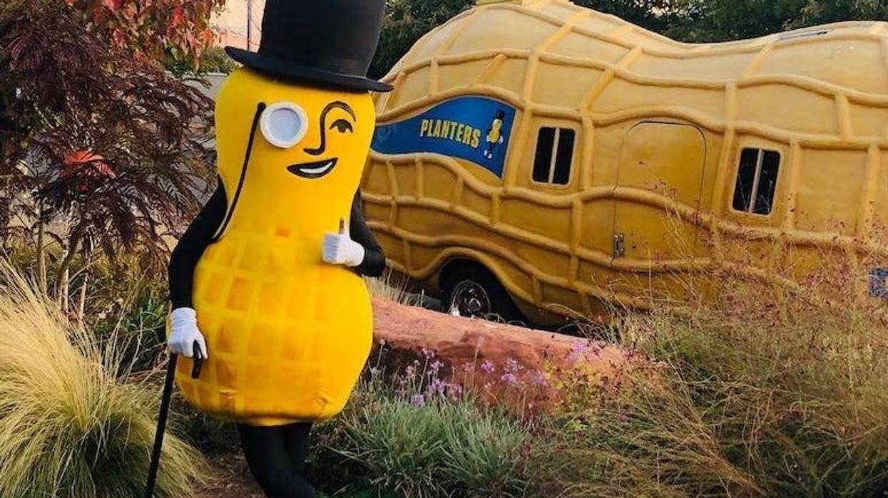 Mr. Peanut, Planters, Peanuts, Costume, Posing, Peanut Mobile