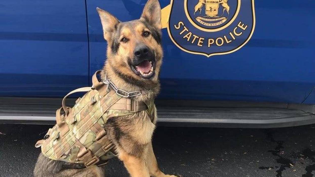 MSP K9 "Chief"