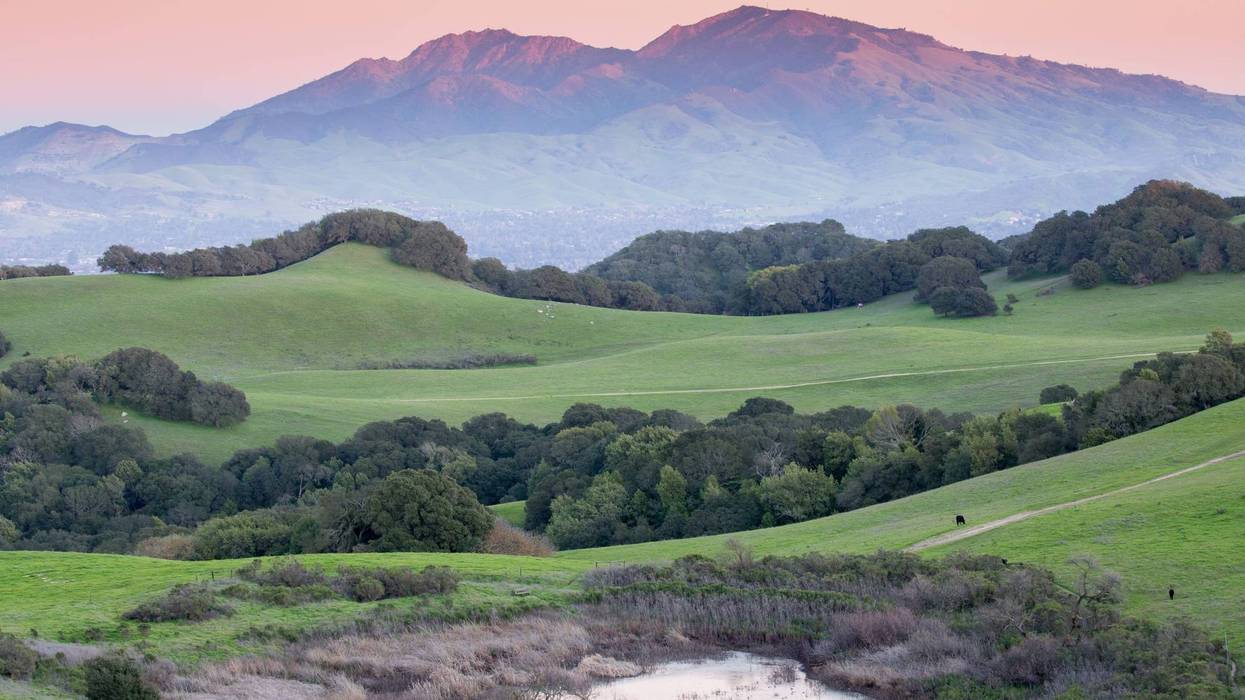 Mt. Diablo and rolling grassy hills of Contra Costa County, California.