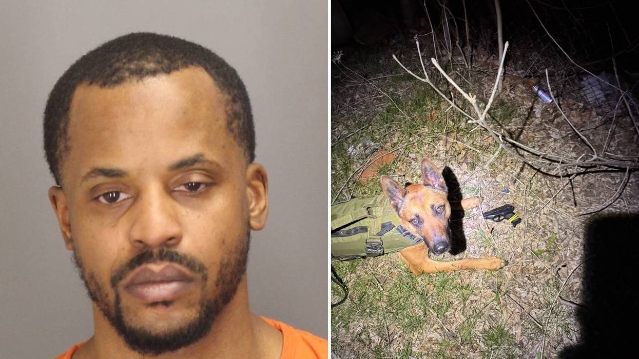 Mugshot of a man and a K9 dog in a tactical vest next to a gun on the ground at night.