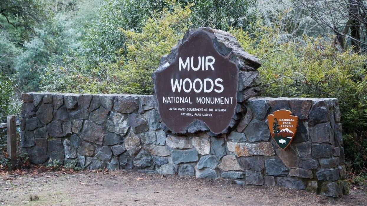 Muir Woods is part of the Golden Gate National Recreation Area.