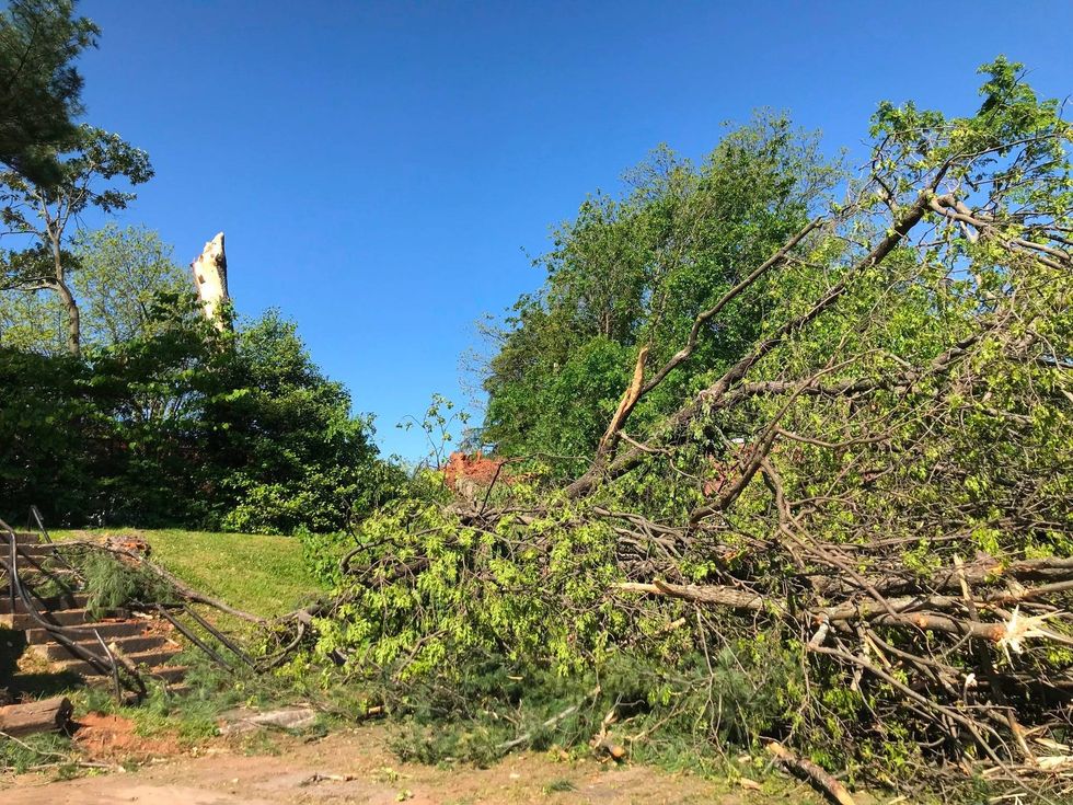 Multiple Fallen Trees at Shepherd's Care