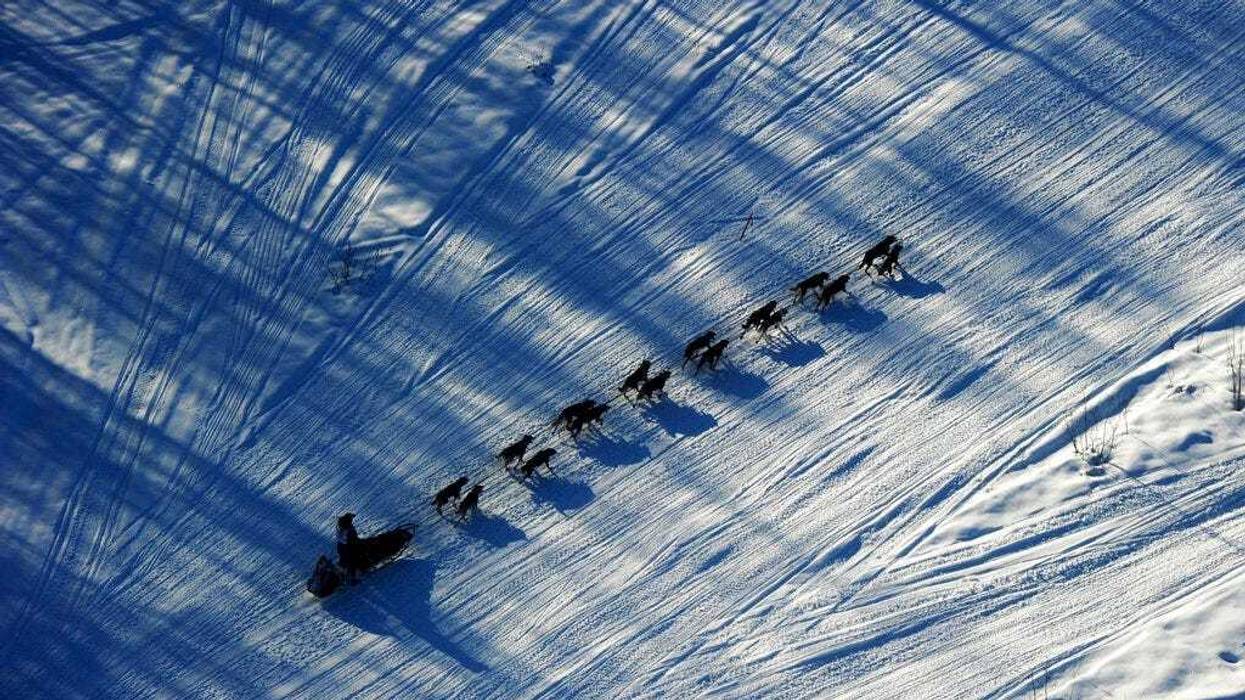 musher Nathan Schroeder drives his dog team down the trail just after the start of the Iditarod Trail Sled Dog Race near Willow, Alaska
