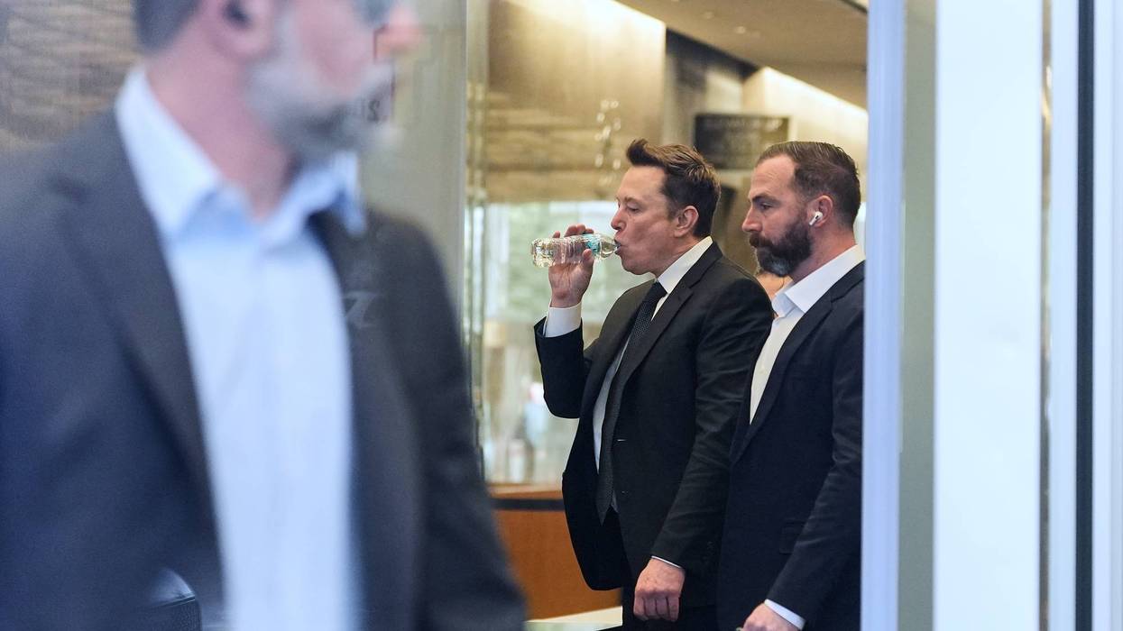 Musk Twitter Shareholders