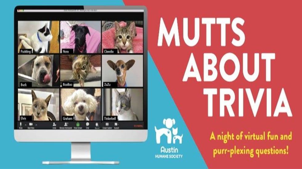 Mutts About Trivia AHS 31721