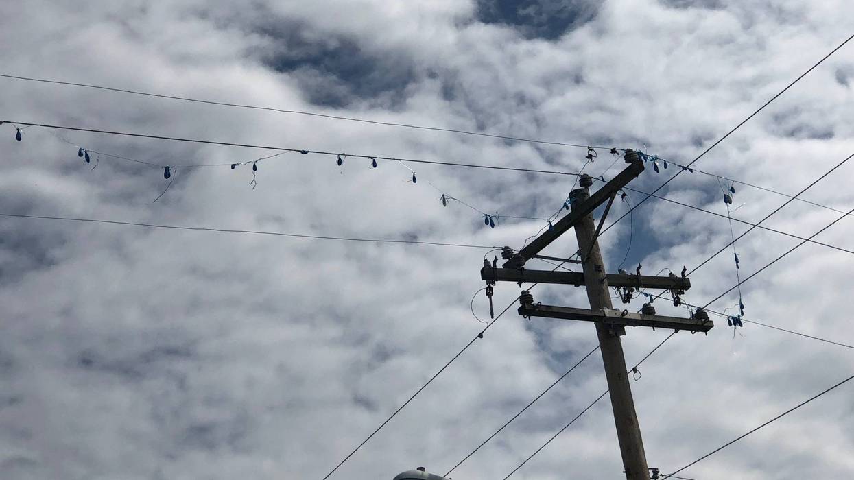 Mylar balloons stuck in power lines in Albers, Ill. on May 25, 2019