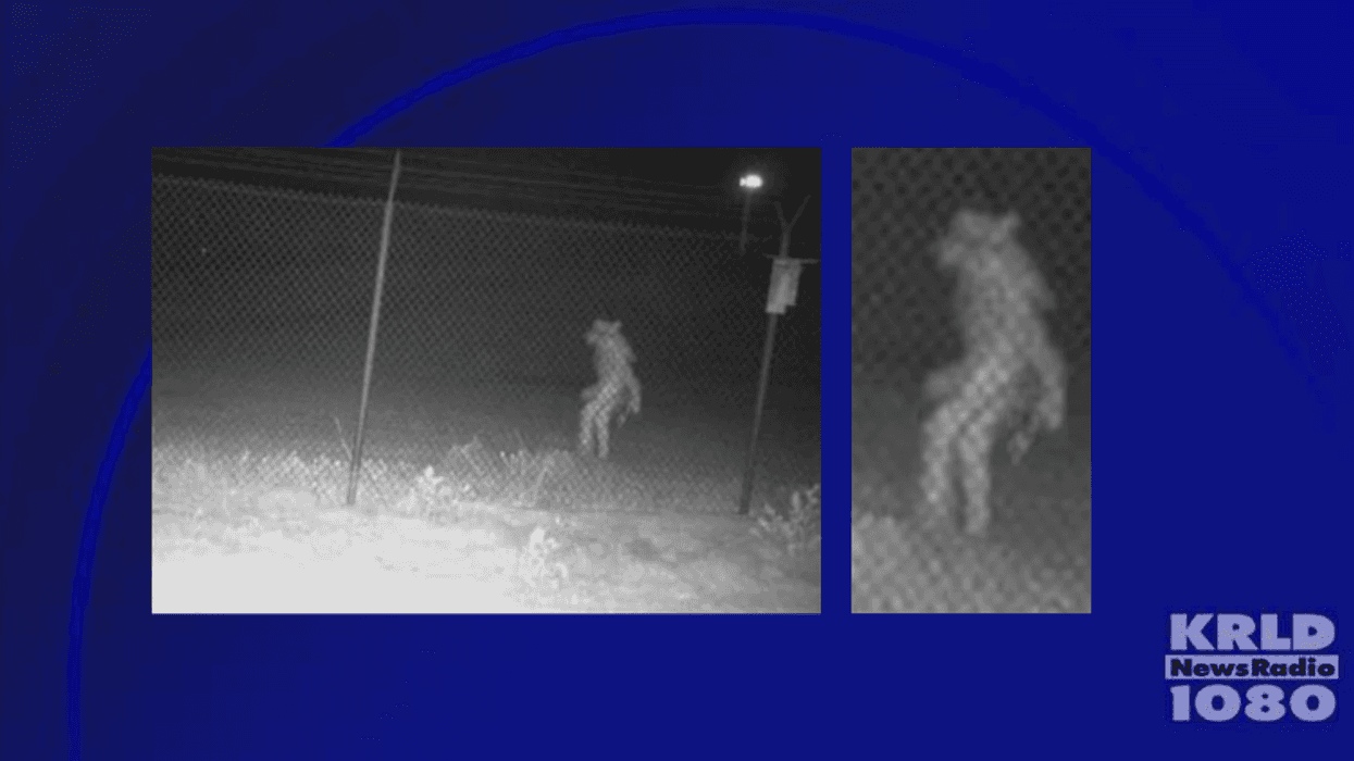 Mysterious object at zoo