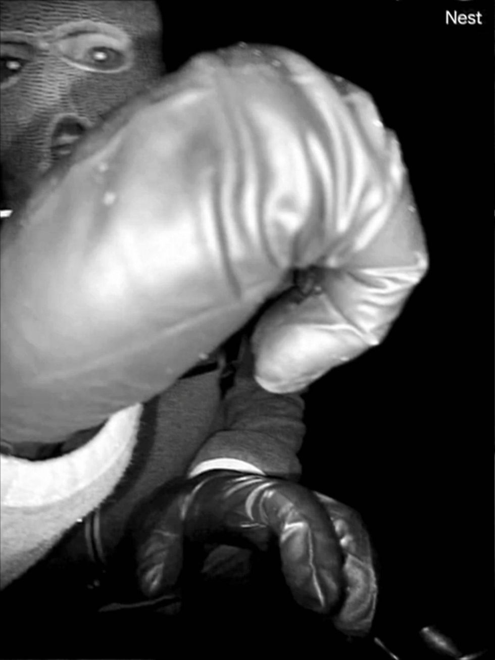 Nancy Guthrie suspect