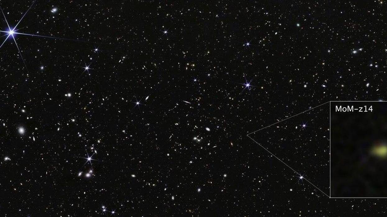 NASA, ESA, CSA, STScI, R. Naidu (MIT), Image Processing: J. DePasquale (STScI)