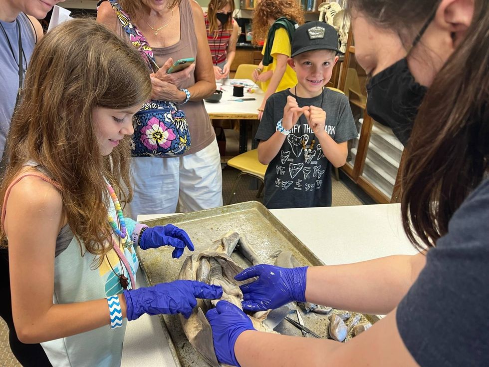 Natural History Society of Maryland