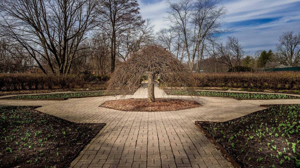 Nature awakening at Cantigny Park