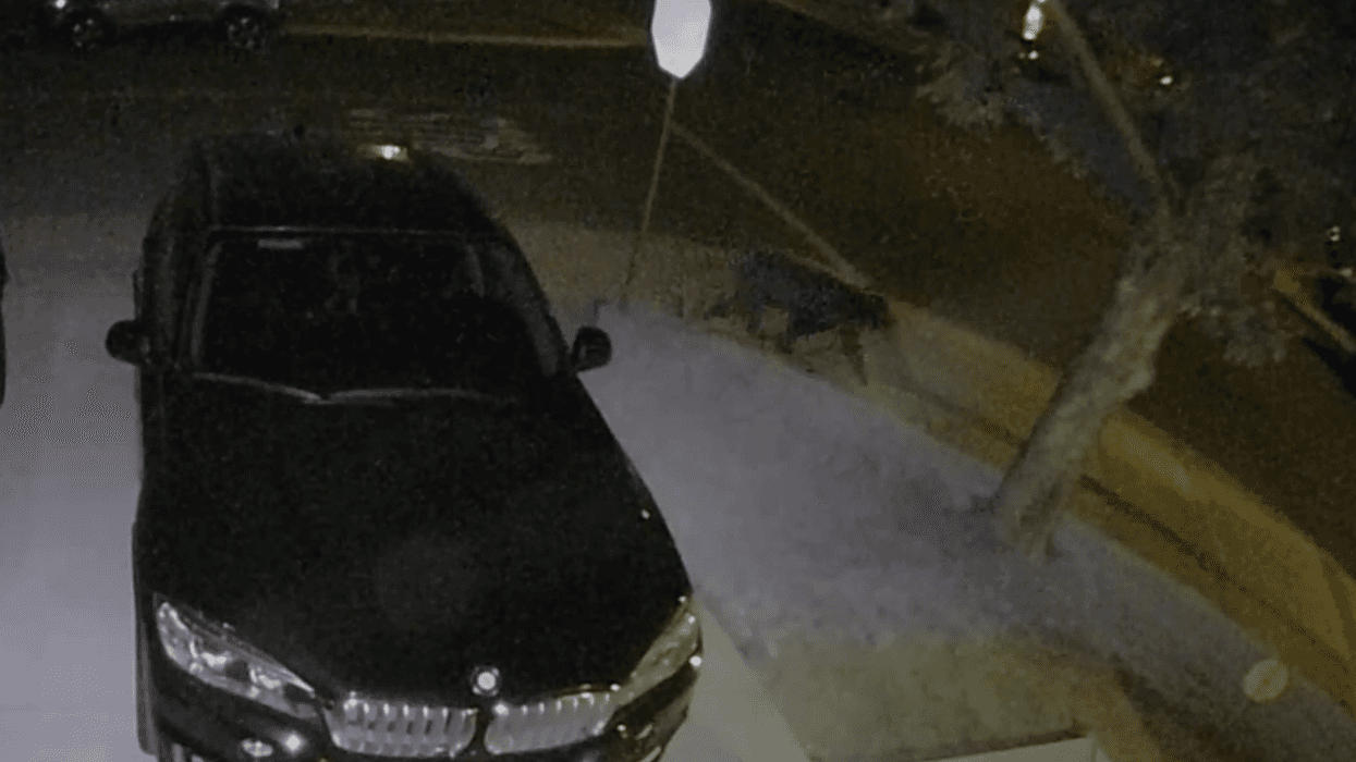 Neighbors.ring.com
