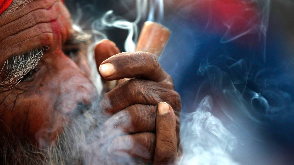 Nepal Marijuana 72