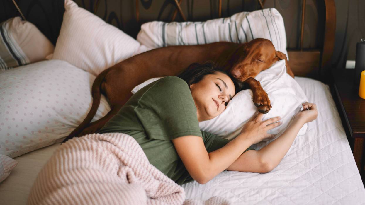 Netflix and Headspace series shows you can’t ‘binge’ sleep