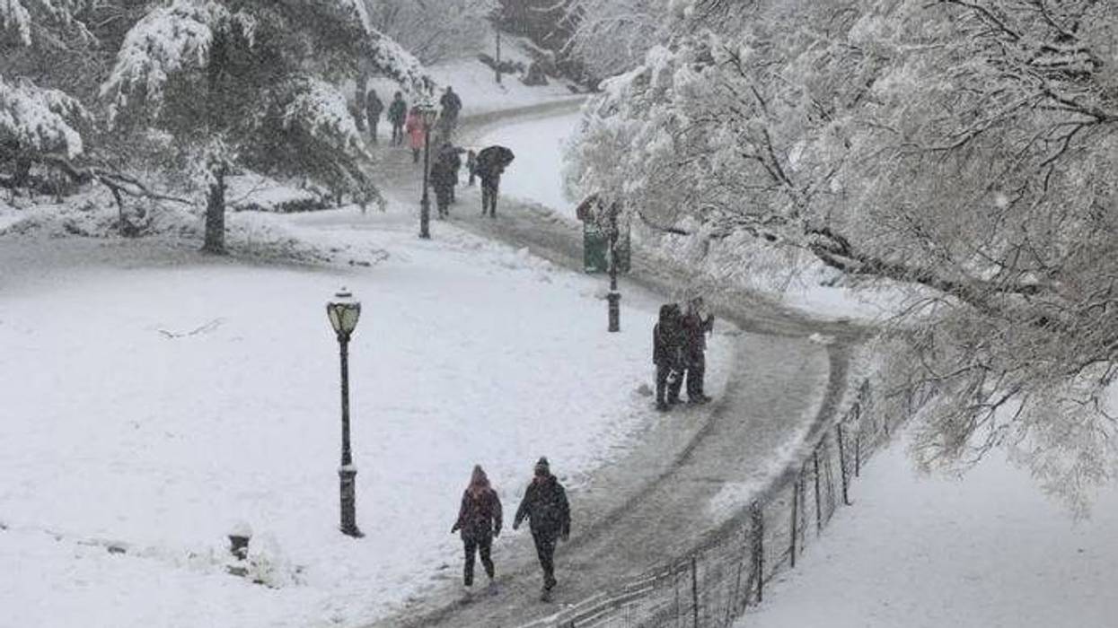 nevada en nyc