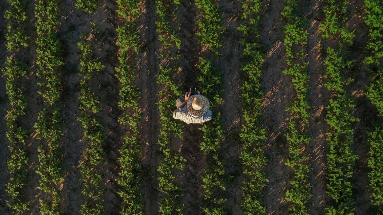 New funds for Minnesota's up and coming farmers seeks to give smaller farmsteads and food businesses a boost.