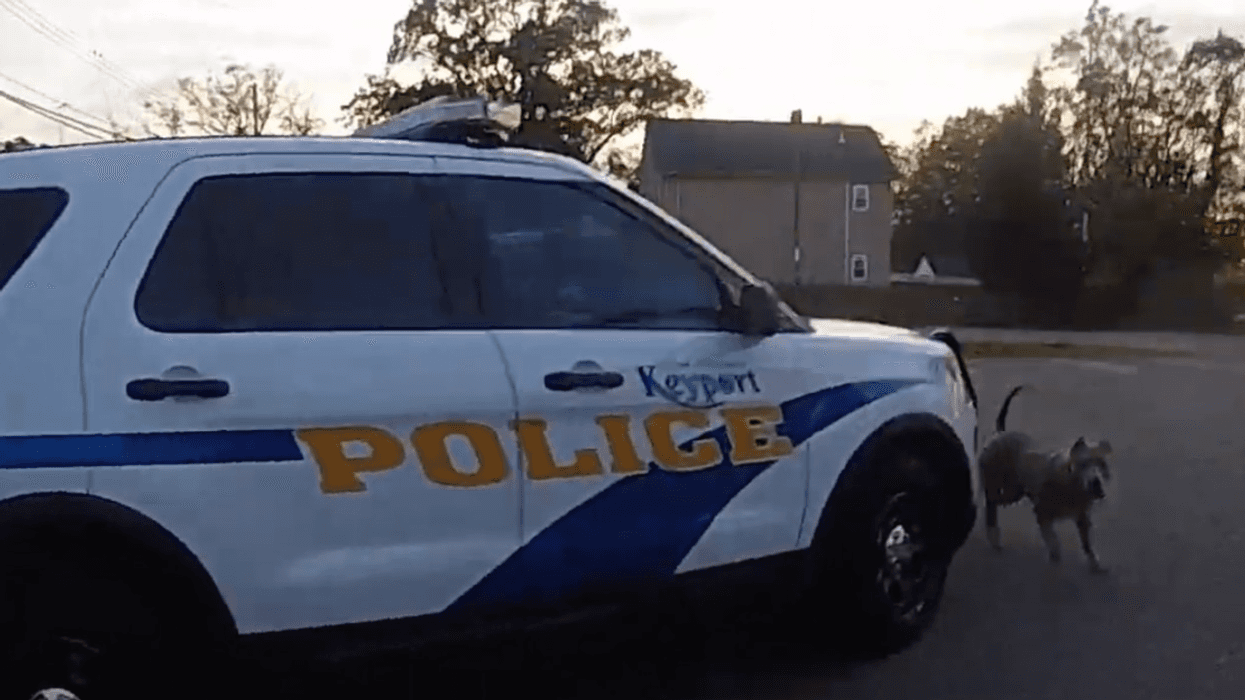 New Jersey dog owners are facing charges after their dog "aggressively" chased and was shot at by police on Saturday night.