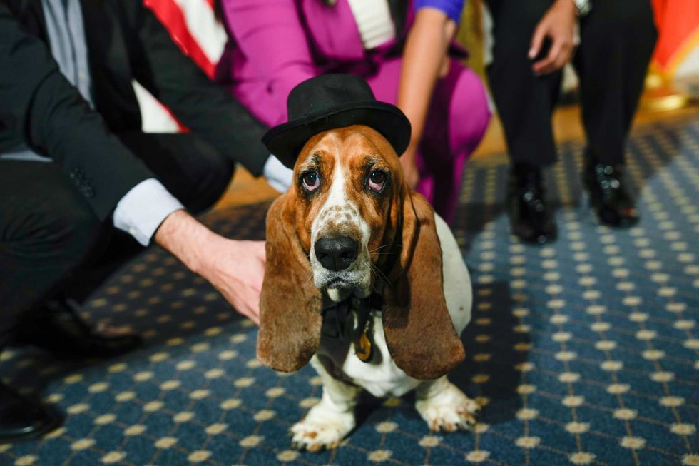 New York City Mayor Eric Adams with Dog Mayor, Sally at City Hall on Thursday, October 19, 2023.