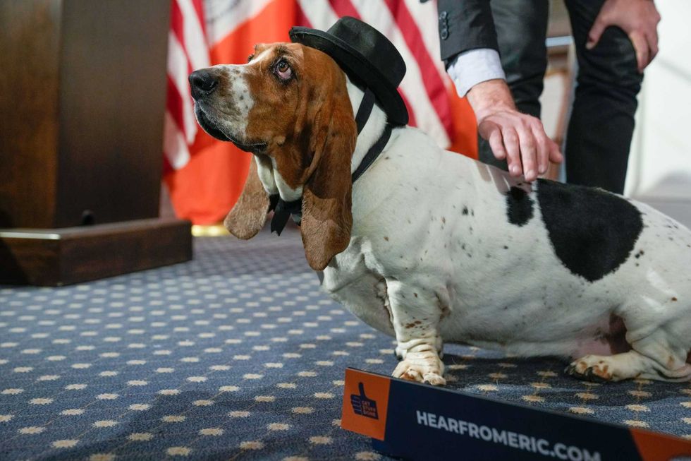 New York City Mayor Eric Adams with Dog Mayor, Sally at City Hall on Thursday, October 19, 2023.