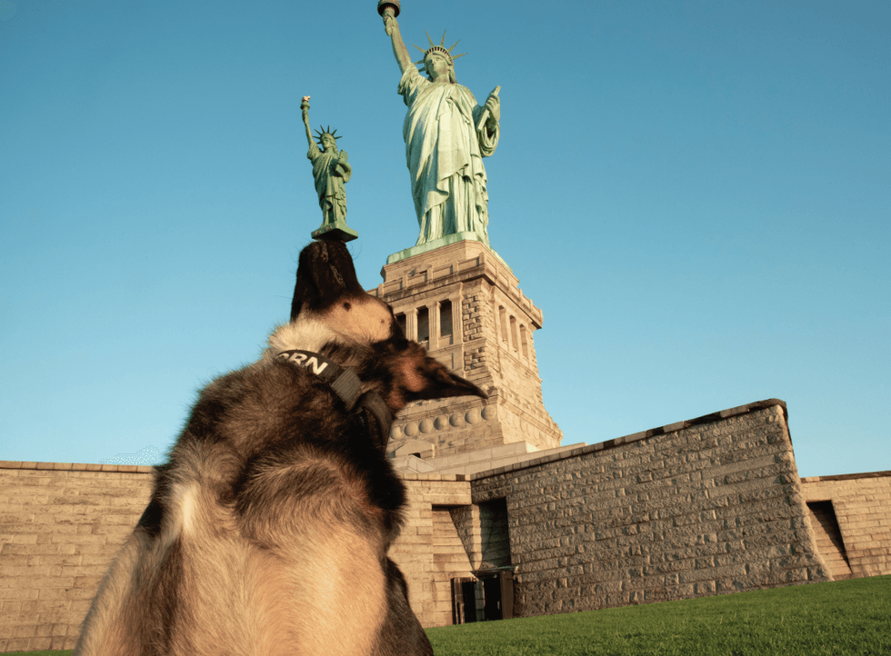 New York City Police Foundation