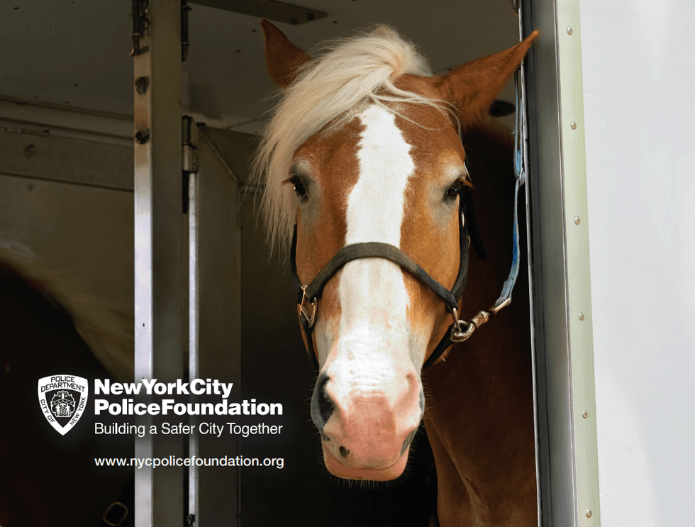 New York City Police Foundation