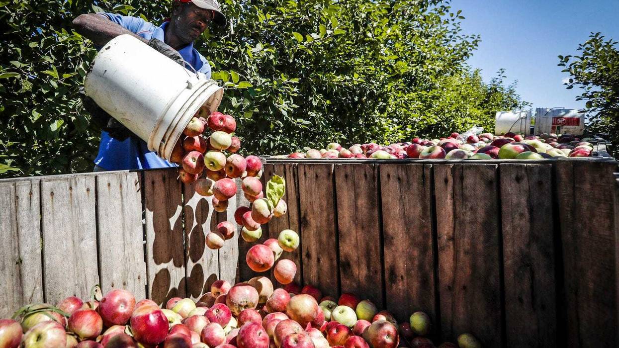 New York farming