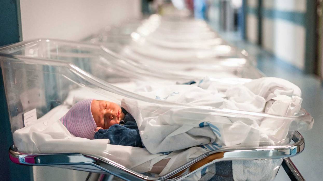Newborn baby boy in his small transparent portable hospital bed.