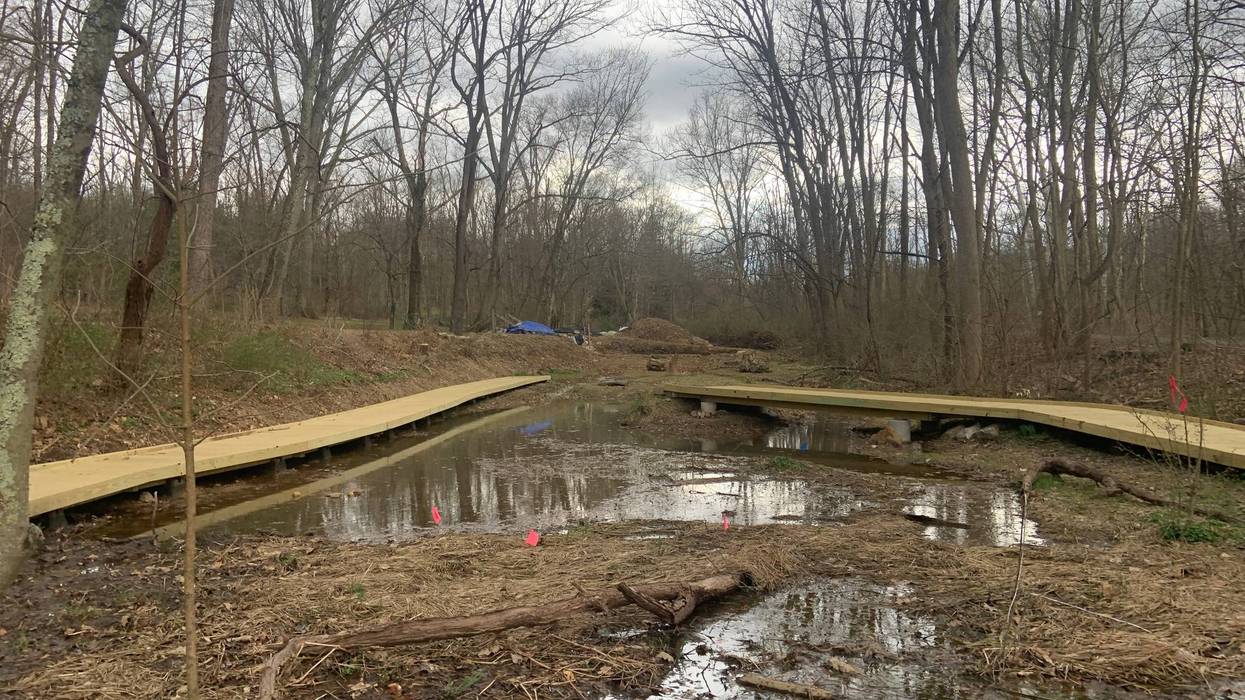 Newlin Grist Mill Park staff hope this new wetland space will draw more species to the surroundings.