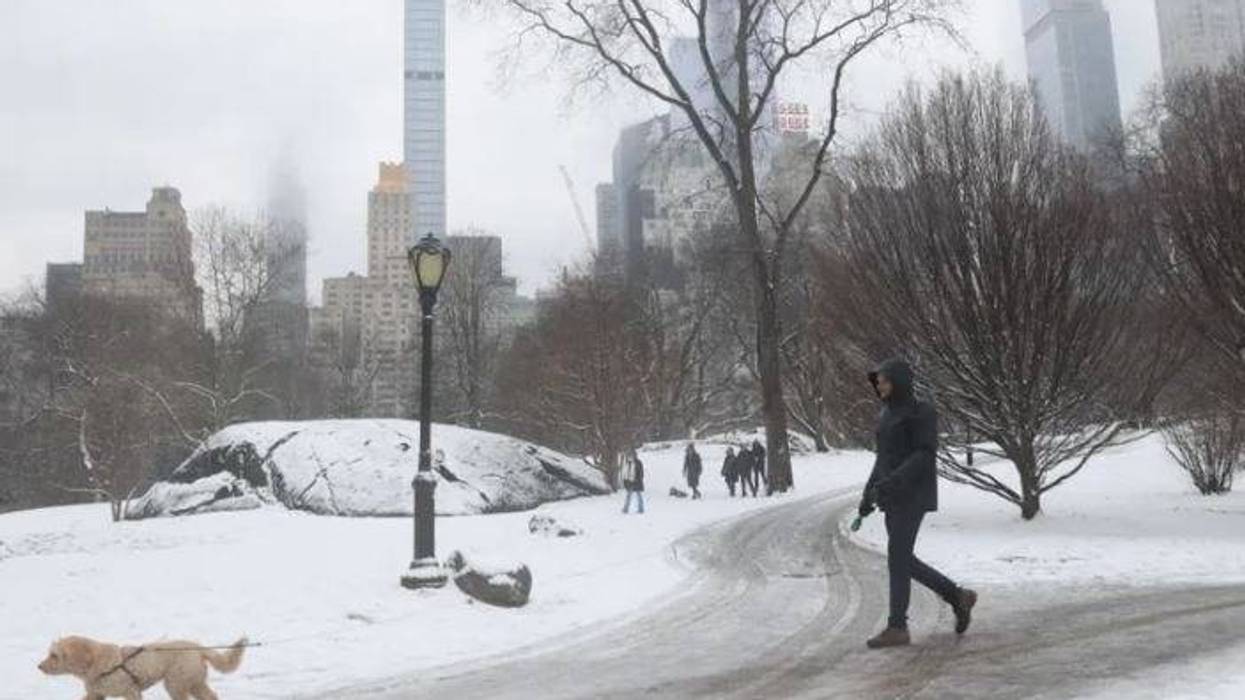 NIEVE CENTRAL PARK