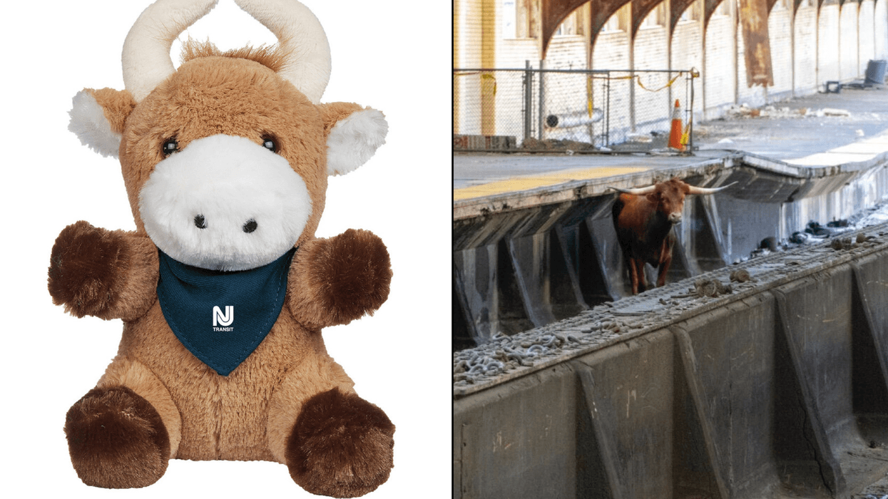 NJ Transit is selling a $20 plush toy of Ricardo the bull (left) after the animal took to the tracks of Newark Penn Station on Dec. 14 (right)