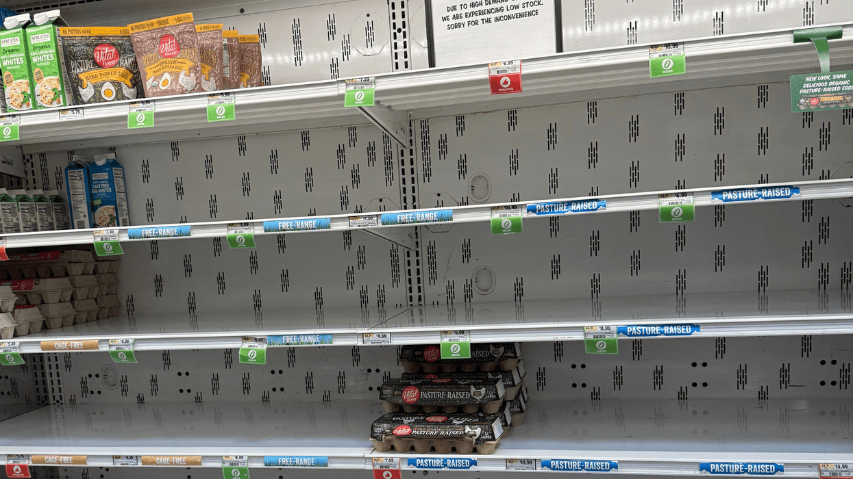 No eggs on shelf