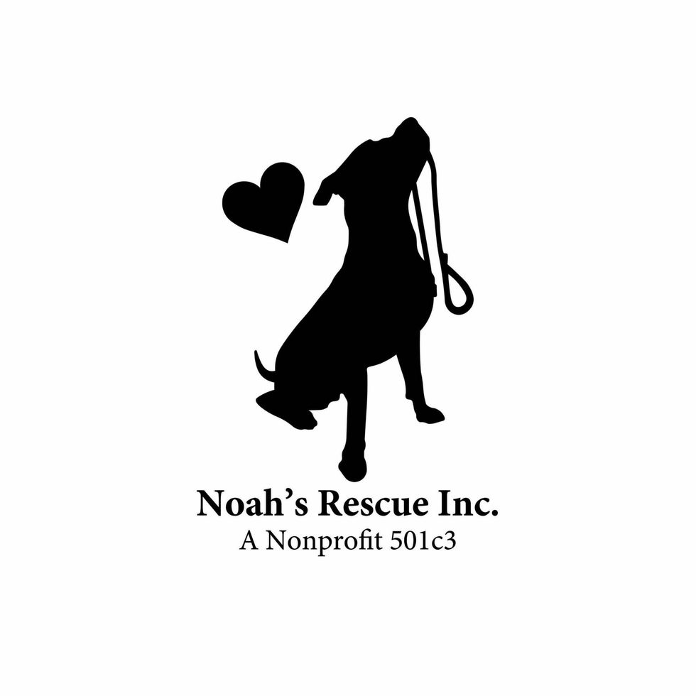 Noah