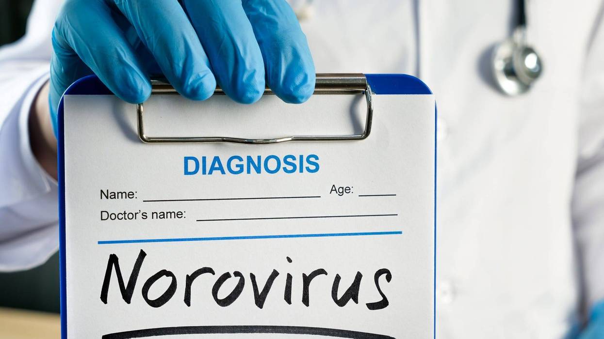Norovirus