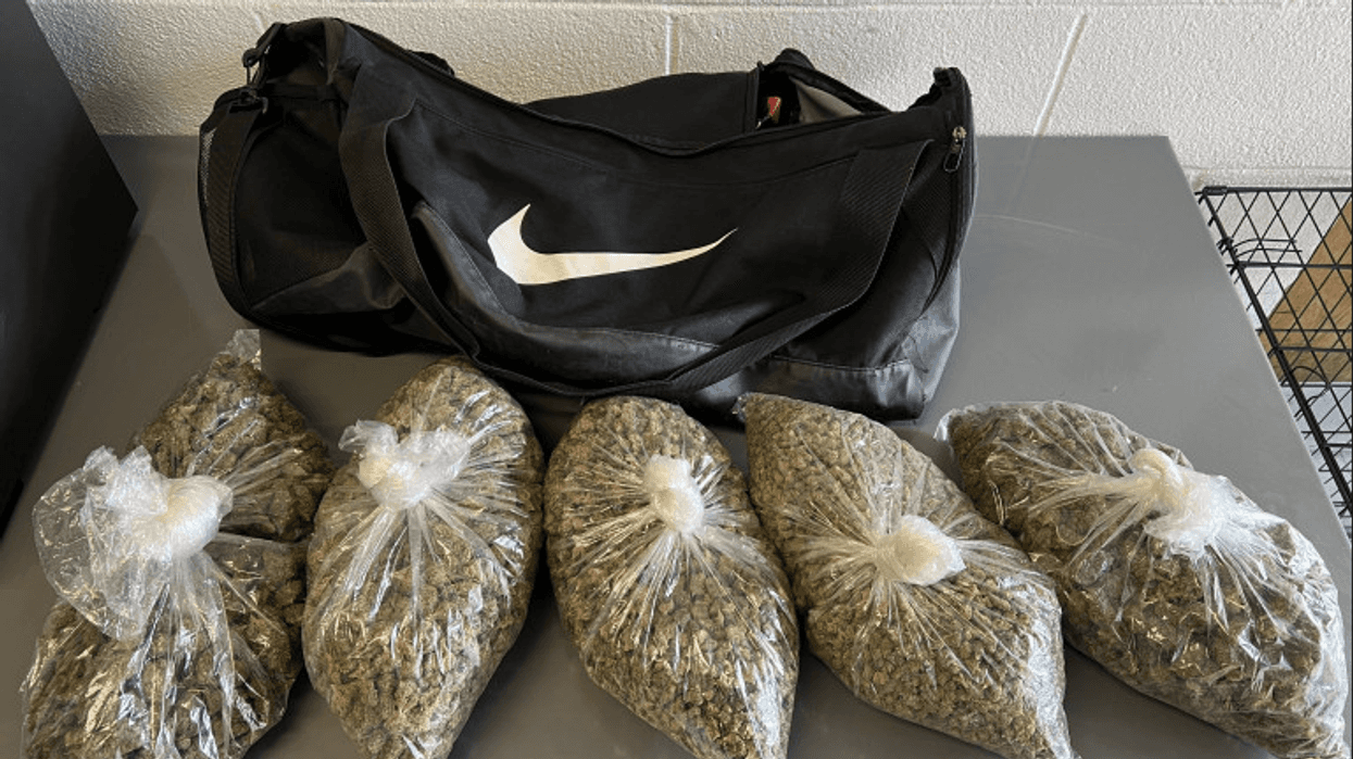 North Braddock Marijuana bust