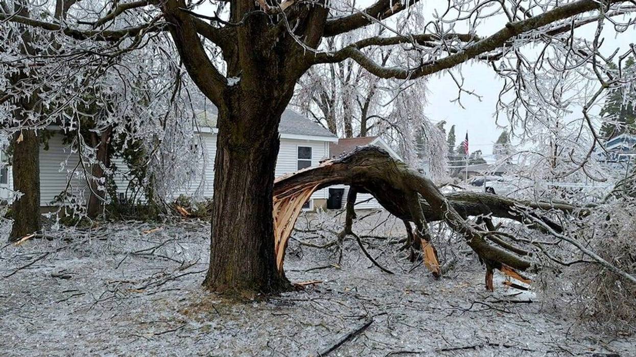 Northern Michigan ice storm damage