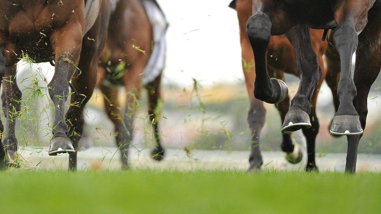 Northville Downs was granted a one-day delay to the start of the racing season after officials said there weren't enough horses entered to hold this weekend's race date on March 12.