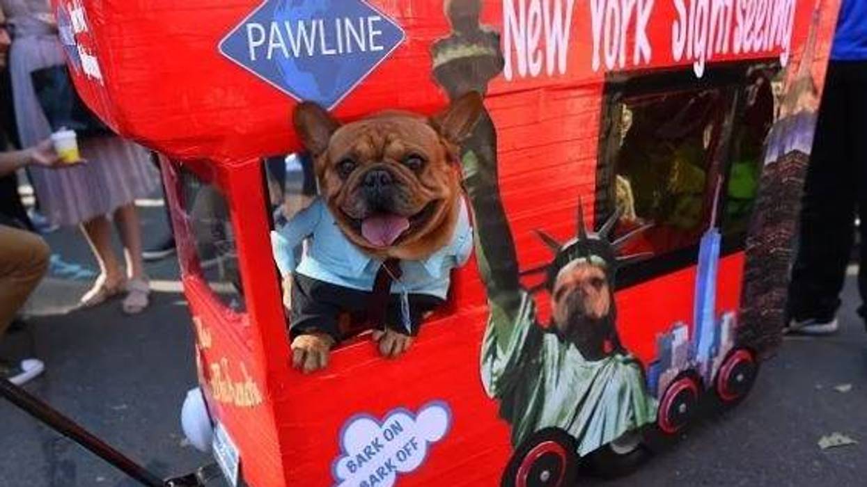 NOTICIAS NYC