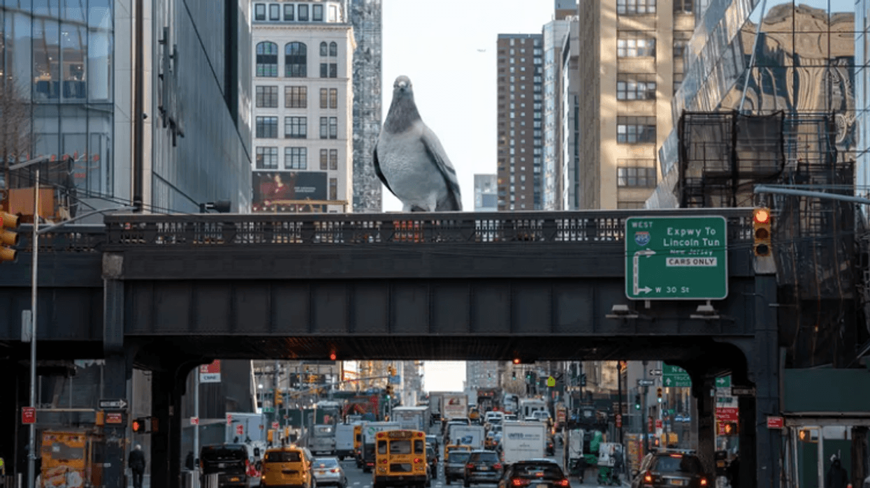 noticias nyc