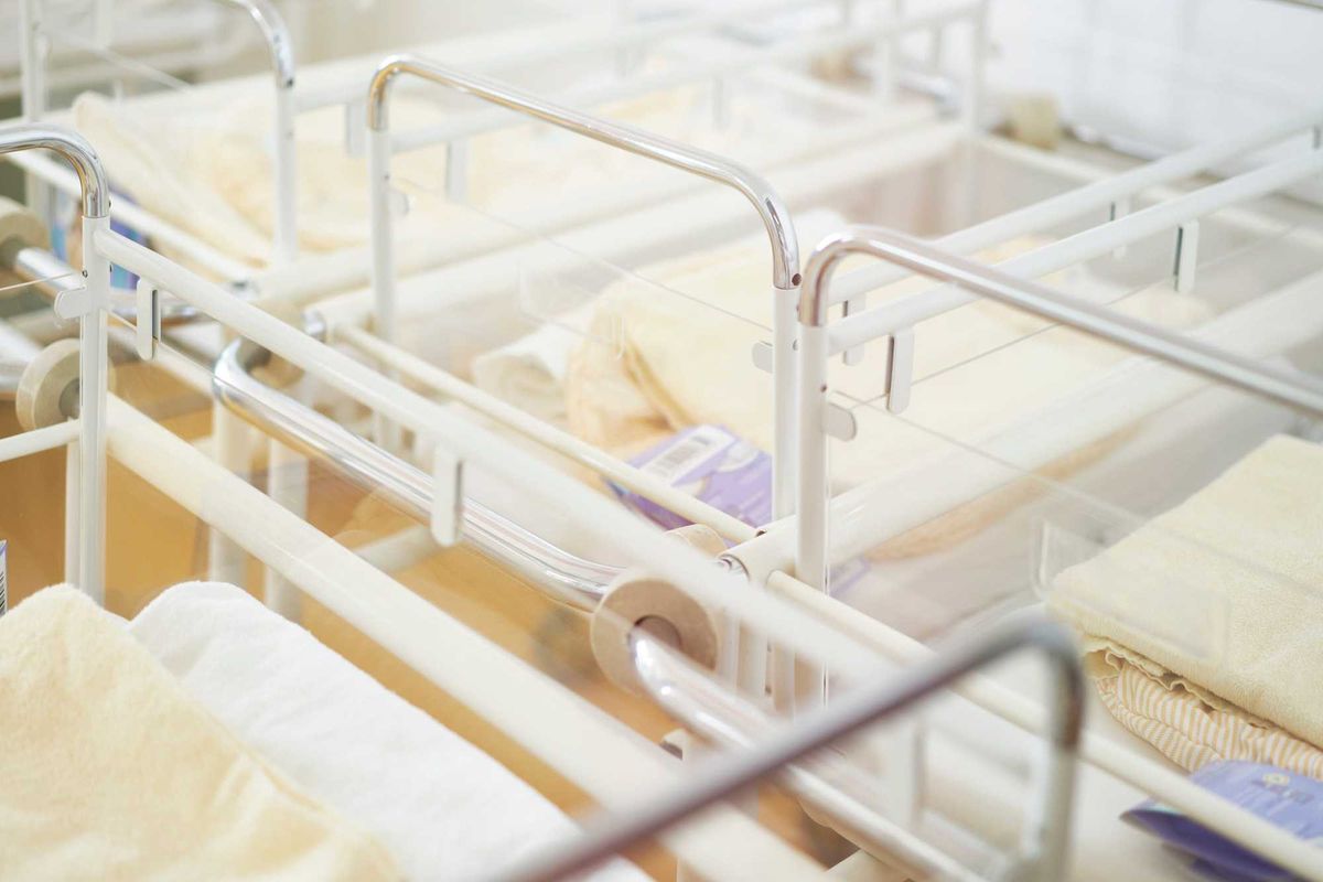 Nursery stock photos.