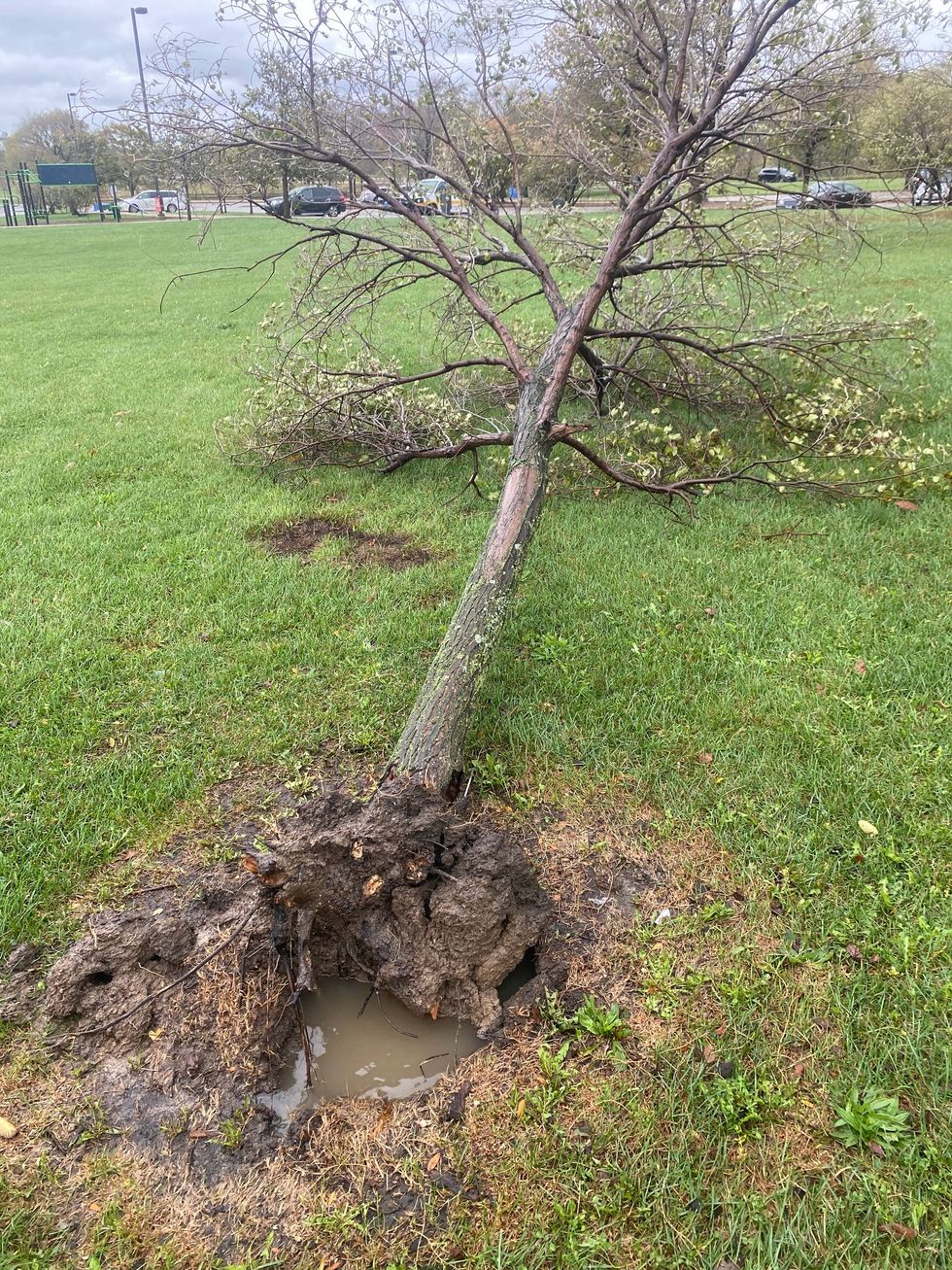 NWS meteorologist issues warning:
