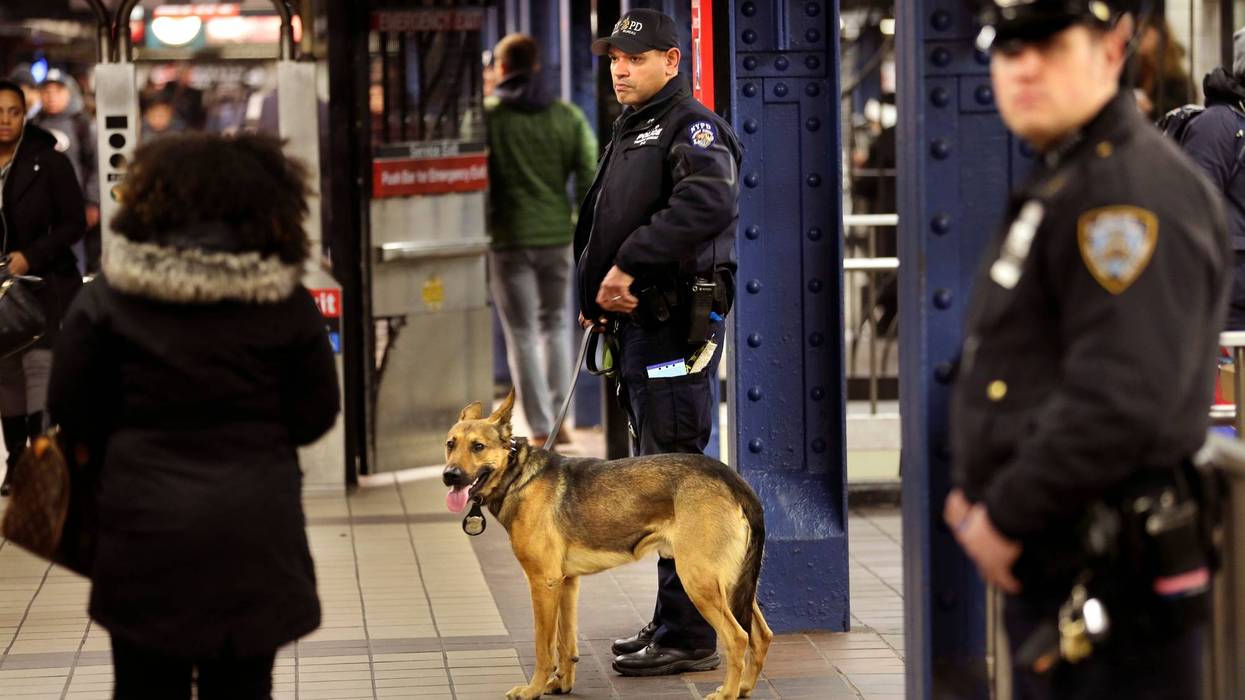 NY-METRO-VIGILANCIA