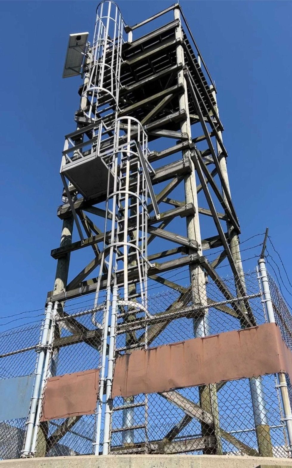 NYC DEP Section Chief Chris Nadareski banding the peregrine falcons at the Bayonne Bridge Nesting Tower as the mother watches from above.