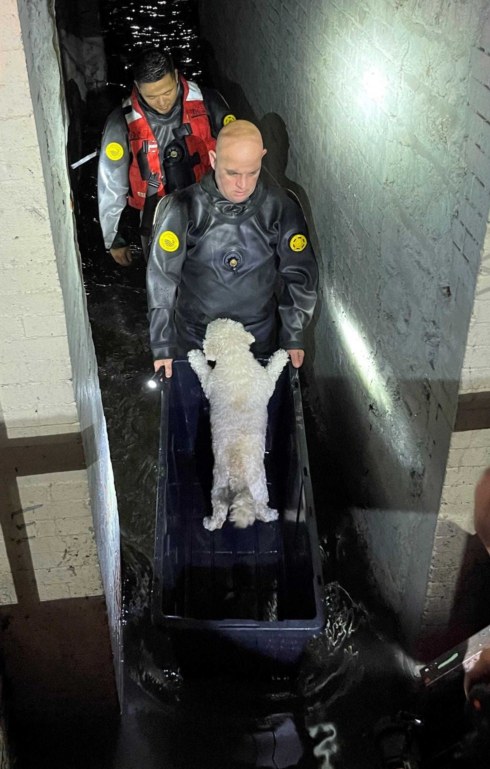 NYPD Rescue