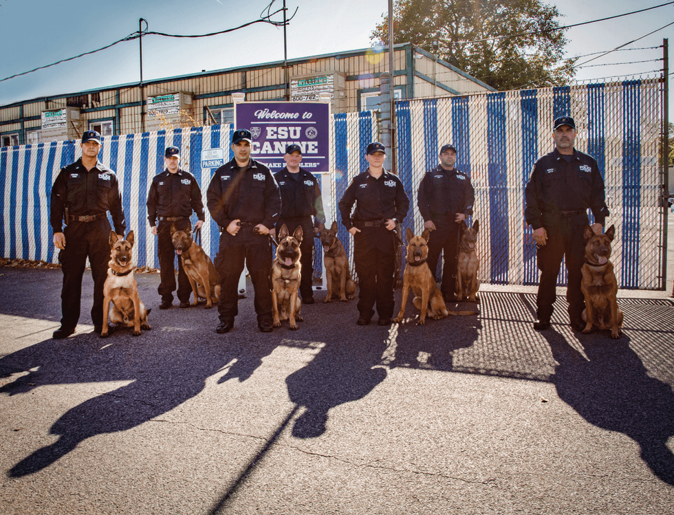 NYPD