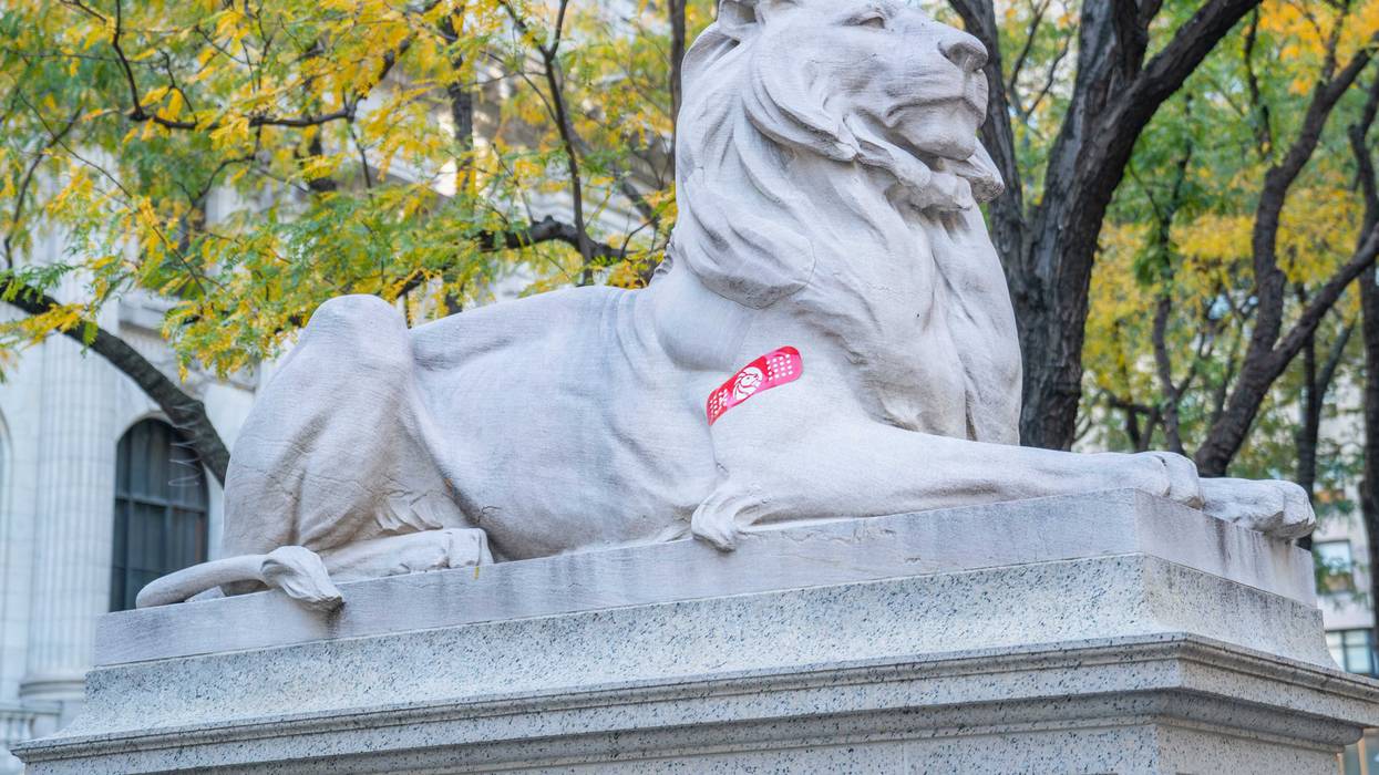 NYPL Lions Vaxxed
